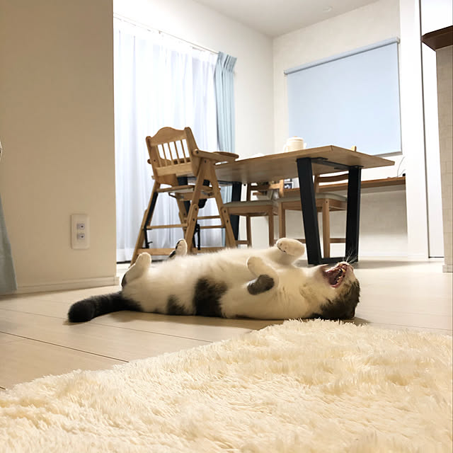 k.さんの実例写真