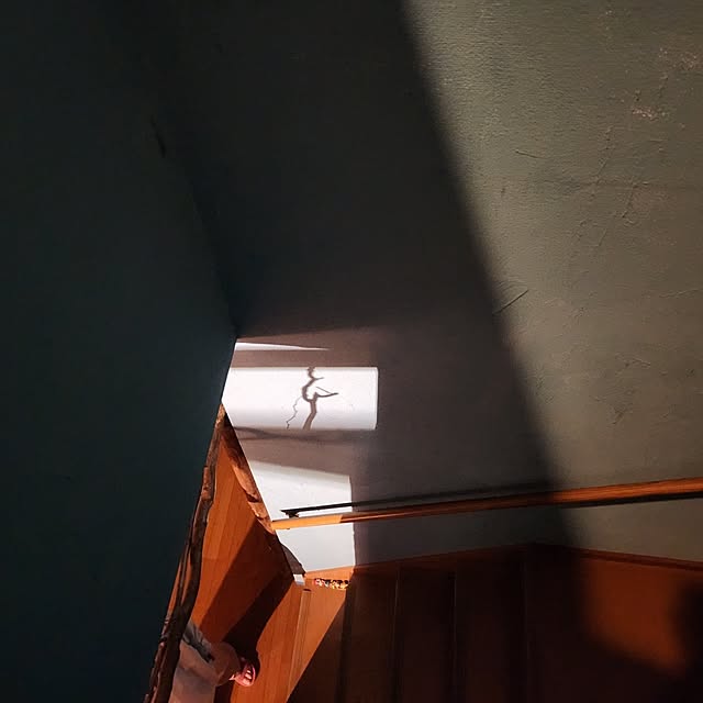 shuさんの実例写真