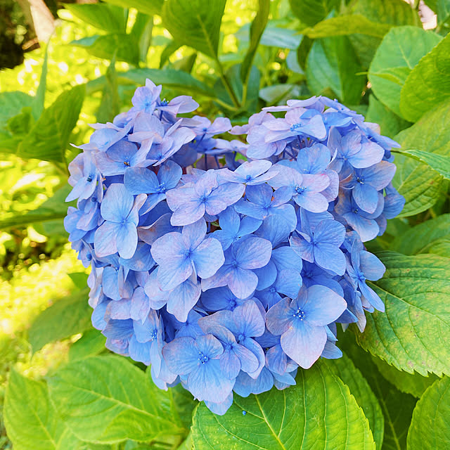 sato_4.さんの実例写真