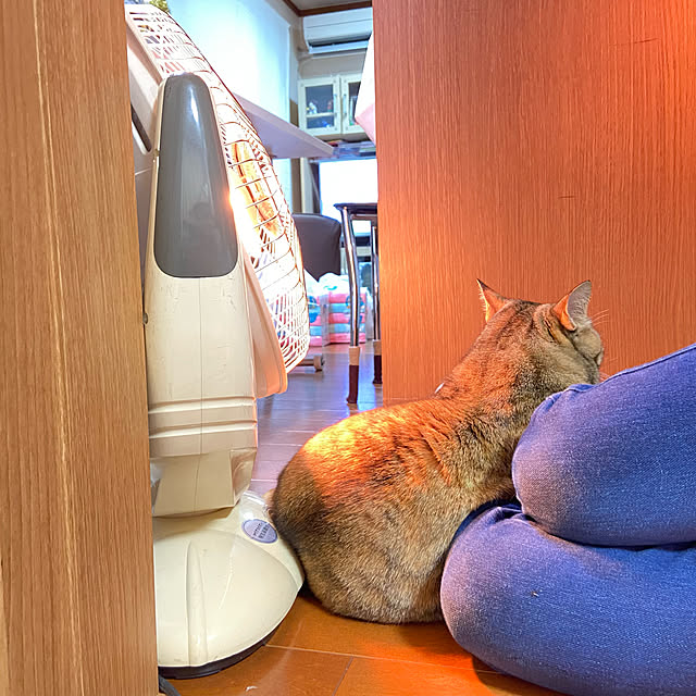 hansho.sさんの実例写真