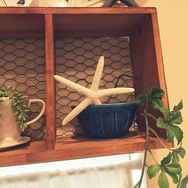 norinonさんの実例写真