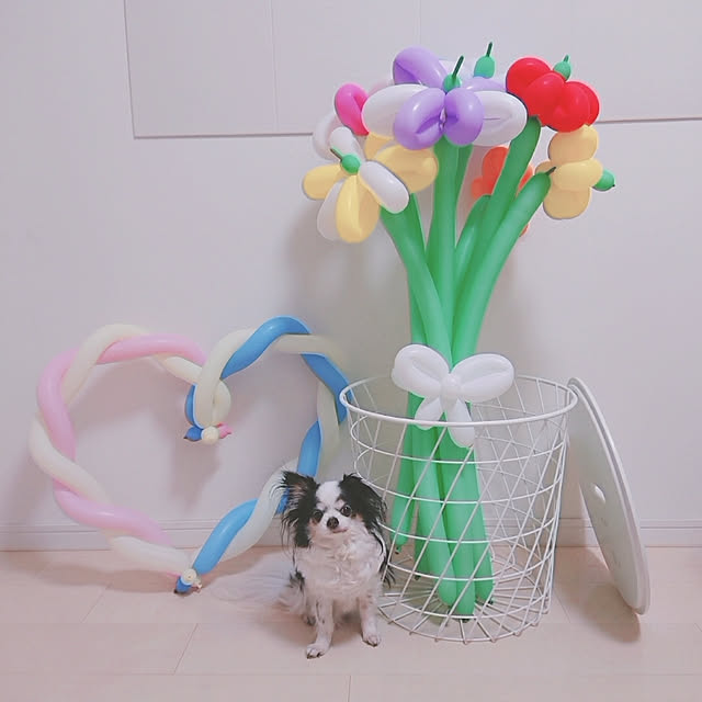yumegu8さんの実例写真