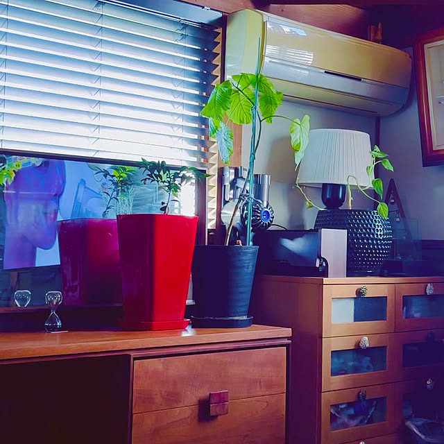 chacoさんの部屋