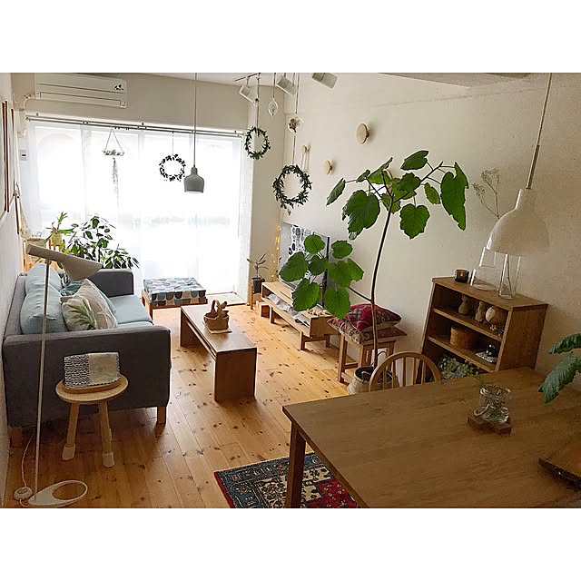 Hisayoさんの実例写真