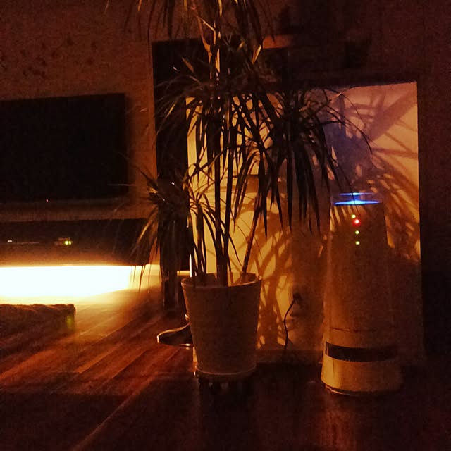 zenoさんの実例写真