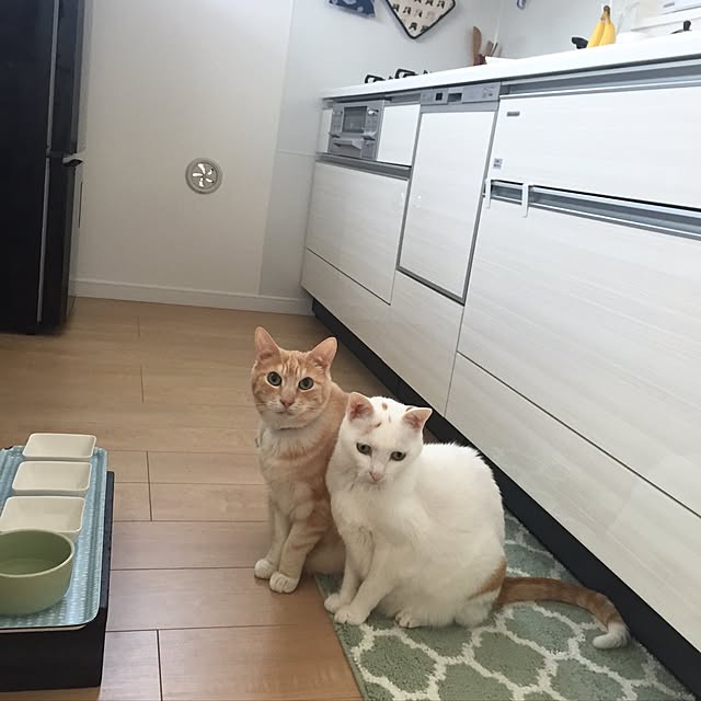 Minakoさんの実例写真