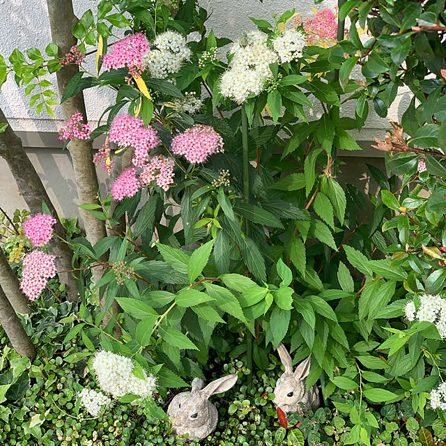 kekokekoさんの実例写真