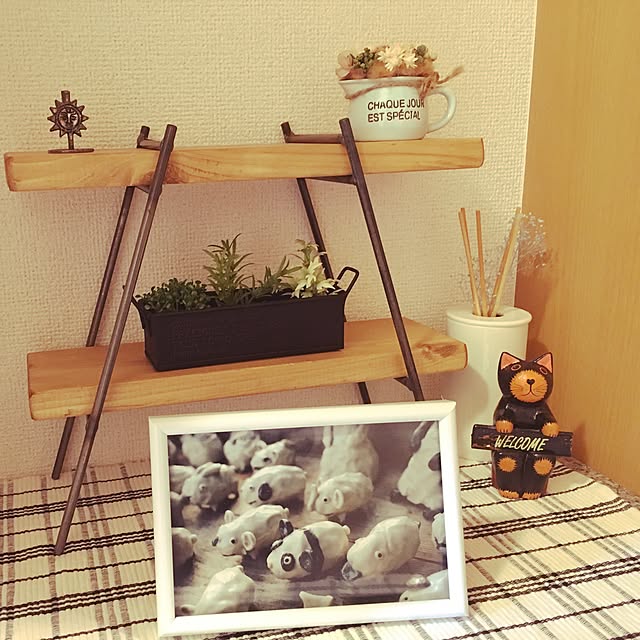 dattyo09さんの実例写真