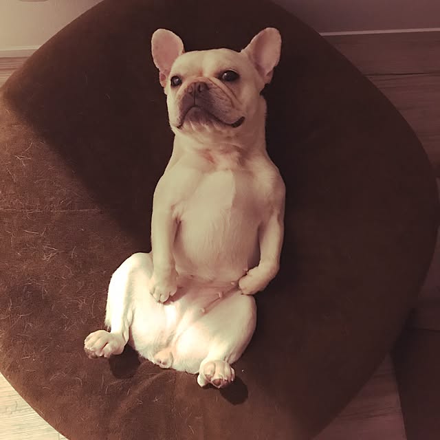 wjs1028さんの実例写真