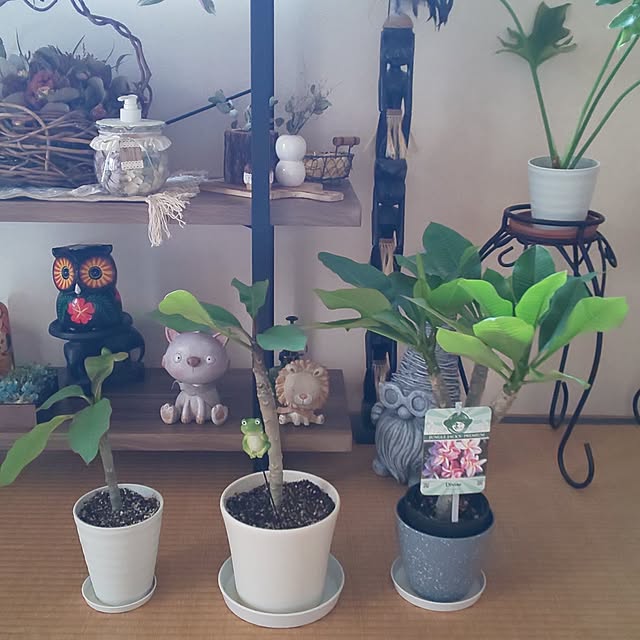 yumiyumiさんの実例写真