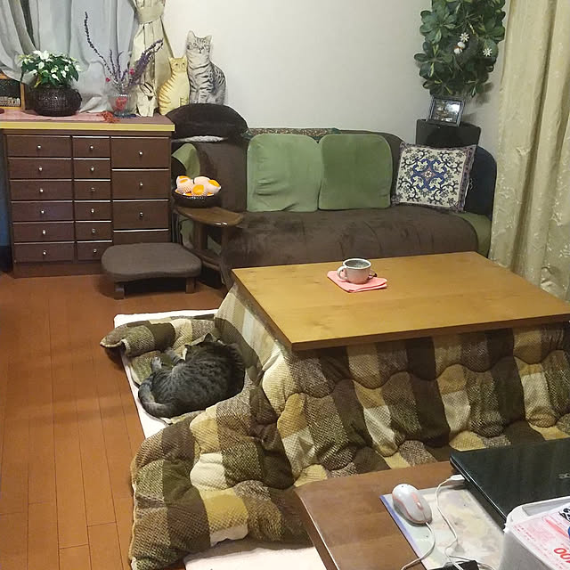 komgi12さんの実例写真