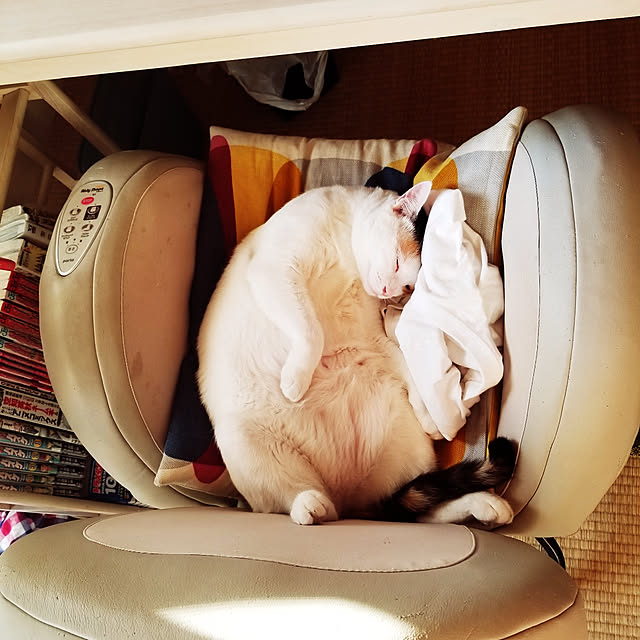 HOTARU.catさんの実例写真