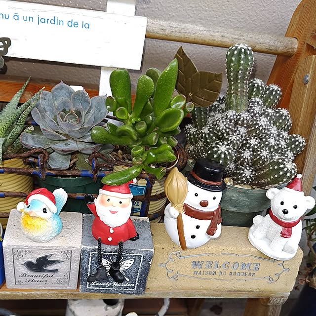 katさんの実例写真