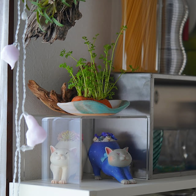 roseminaさんの部屋