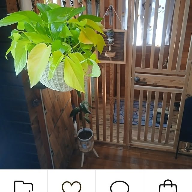 murasaki808さんの部屋