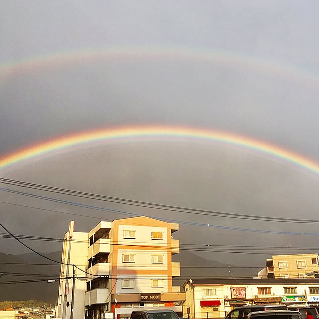 実例写真
