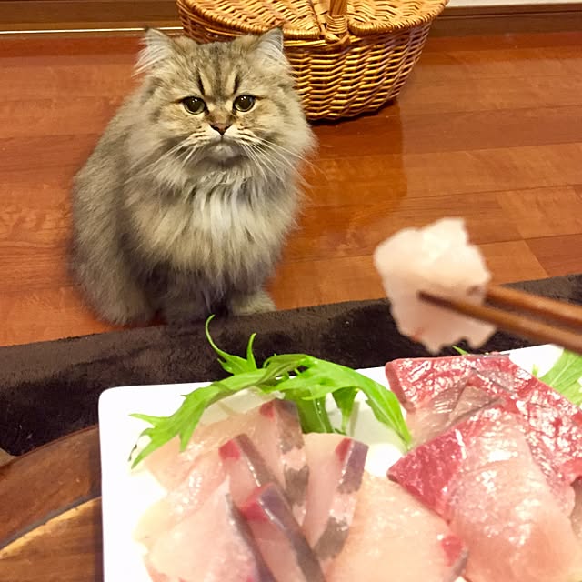 butachanさんの実例写真