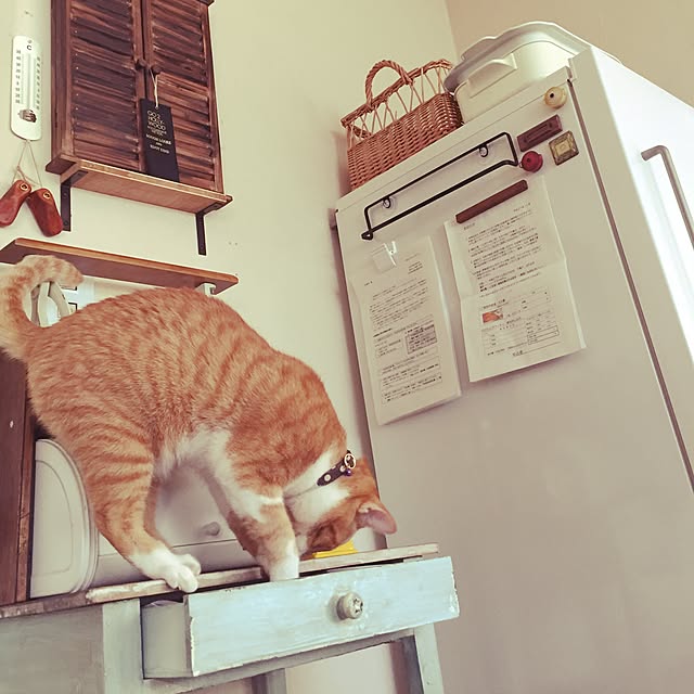 latteさんの実例写真