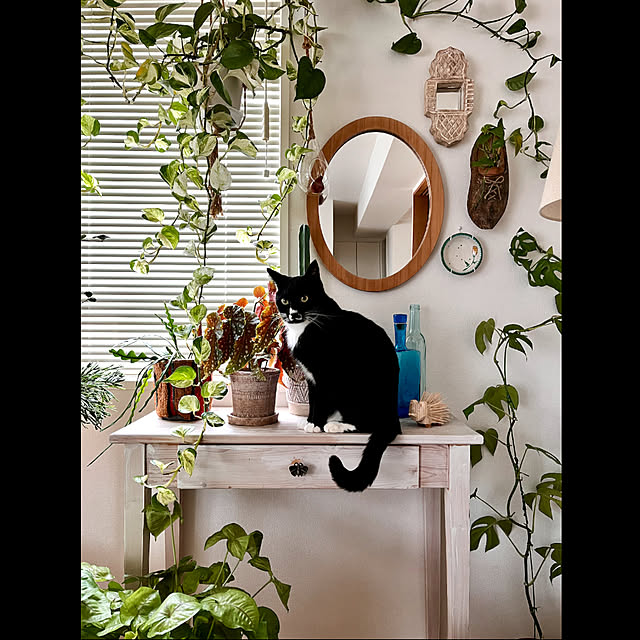 ochoriさんの部屋