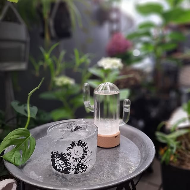 noaさんの部屋