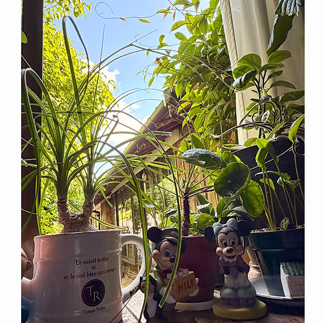 cotaさんの部屋