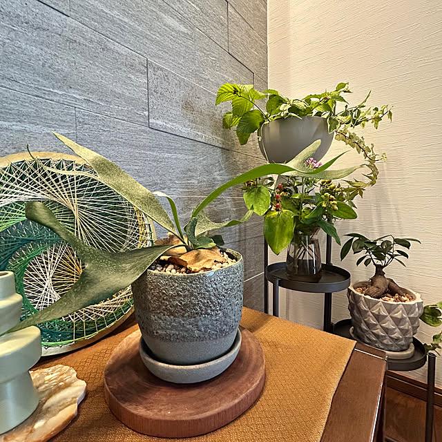 asahibaさんの実例写真