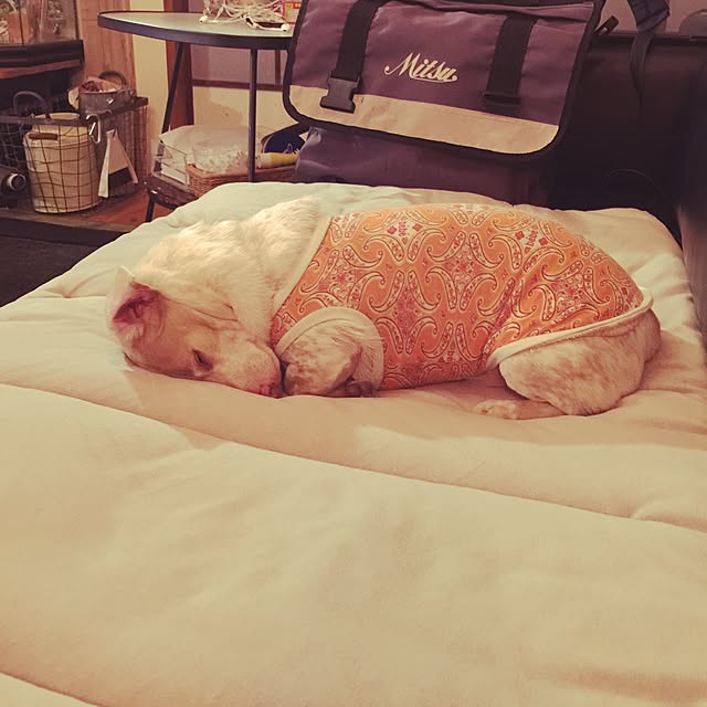 Risaさんの実例写真