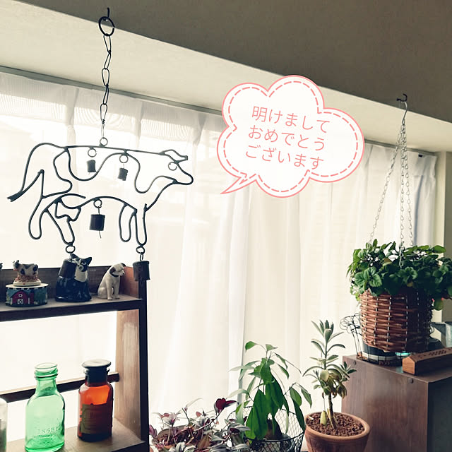 koikoiさんの実例写真