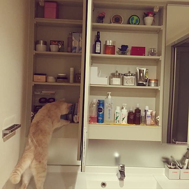 y.k.0123さんの実例写真