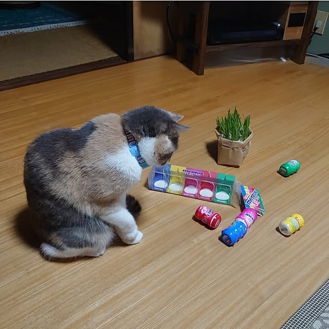 fukuさんの部屋