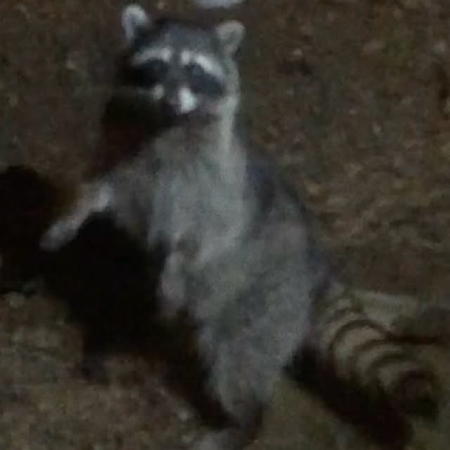 weさんの実例写真