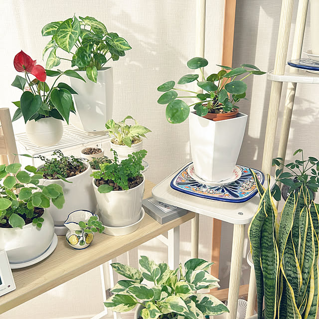 yoyoyoさんの部屋