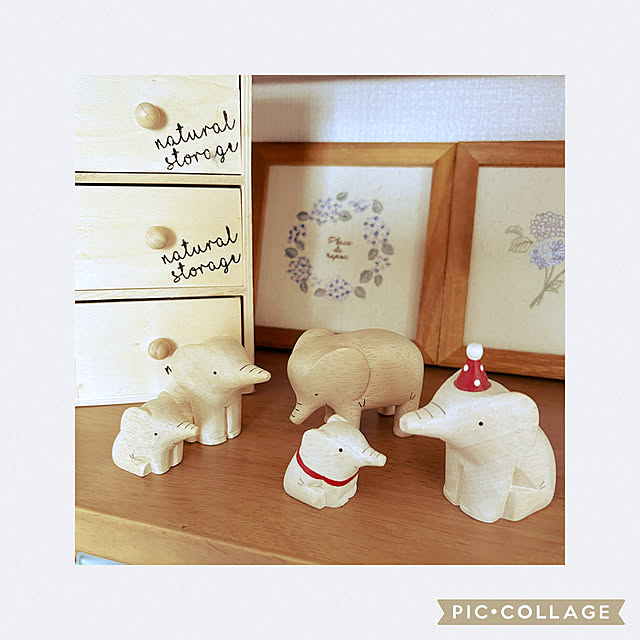 satonoriさんの実例写真