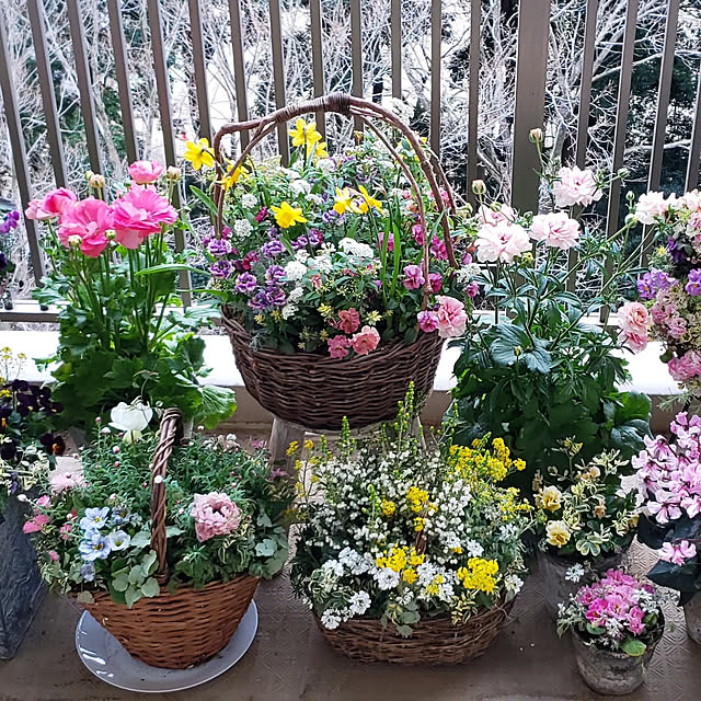 maronnanaさんの実例写真