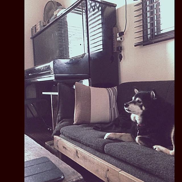 jnkaiさんの実例写真