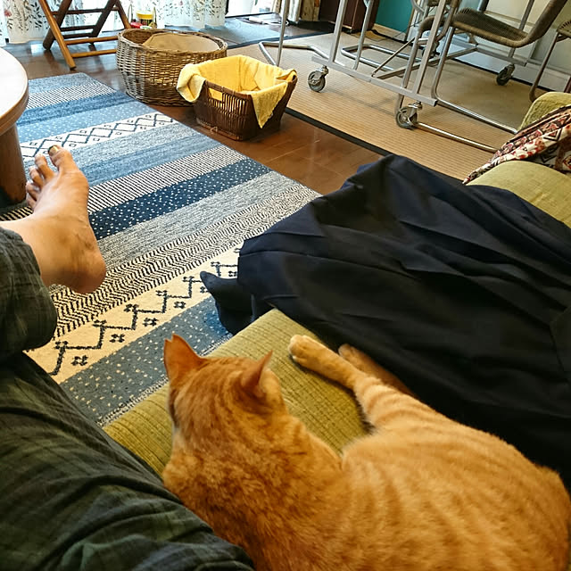 okyosan101さんの実例写真