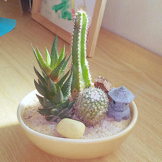 iwakiri318さんの実例写真