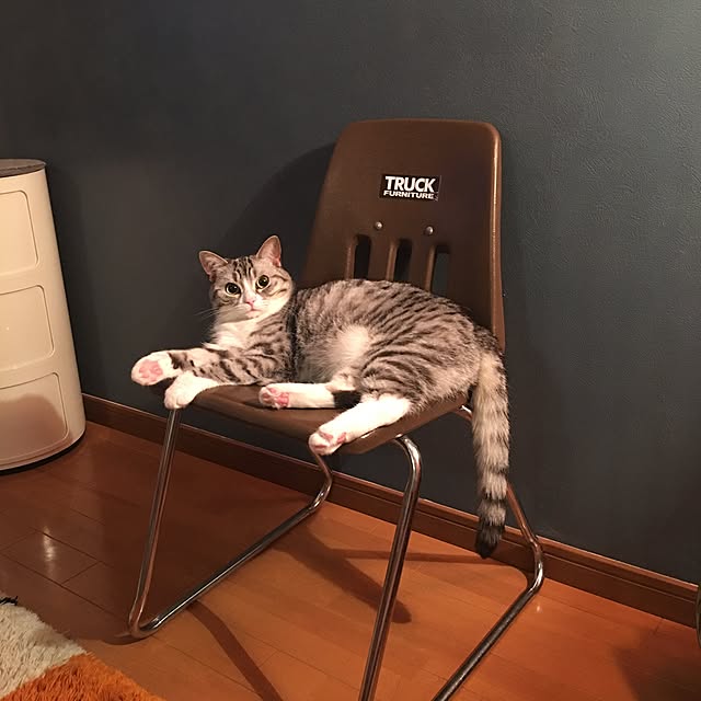 Shojiさんの実例写真