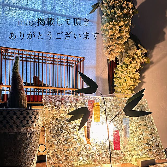 akaidarumaさんの実例写真