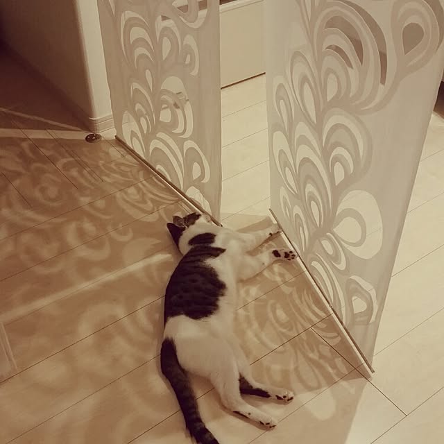 runayucoさんの実例写真