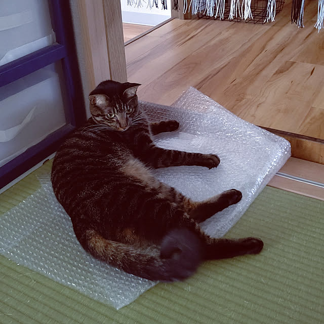 hihaさんの実例写真