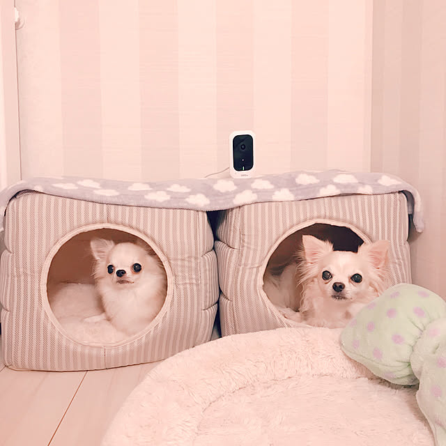 Mihocoさんの実例写真