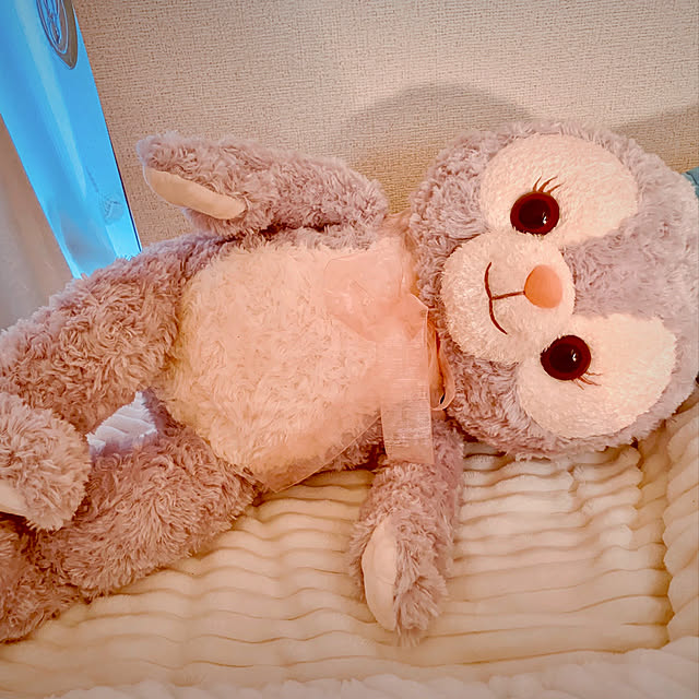 Eriさんの実例写真