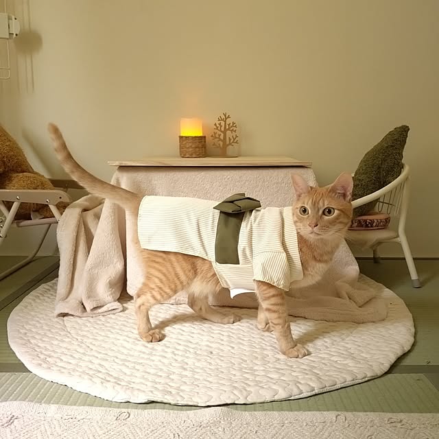 mayutan.さんの部屋