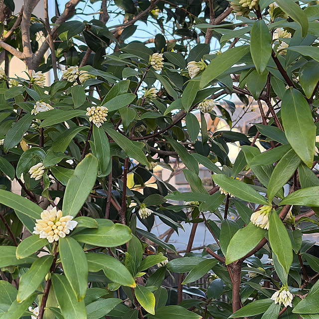 mozukuさんの実例写真