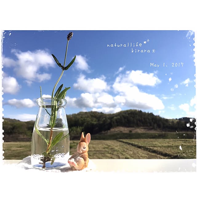kiraraさんの実例写真