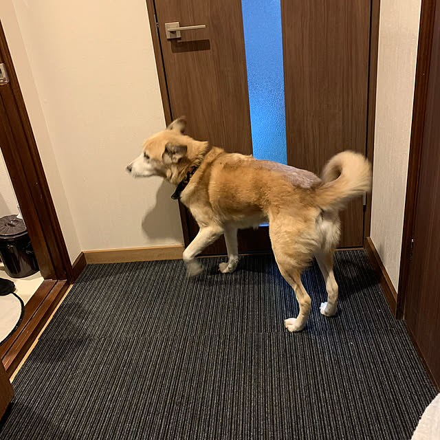 cheminさんの実例写真