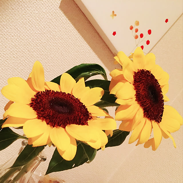 y.kさんの実例写真