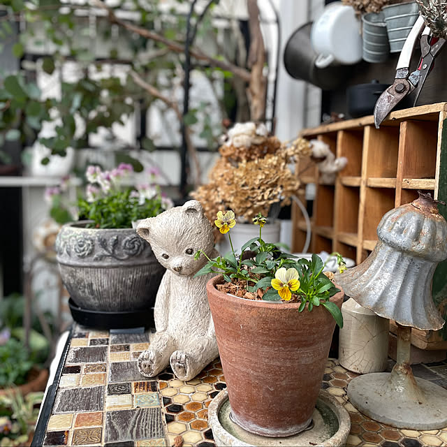 shiropenguinさんの部屋