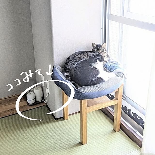 hihaさんの部屋